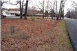 Graveyard Covered with Leaves