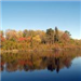 Fall Trees Reflect in Water