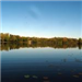 View from the Lake with Lily Pads