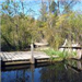 Wooden Dock