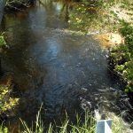 Closeup of Dark Water