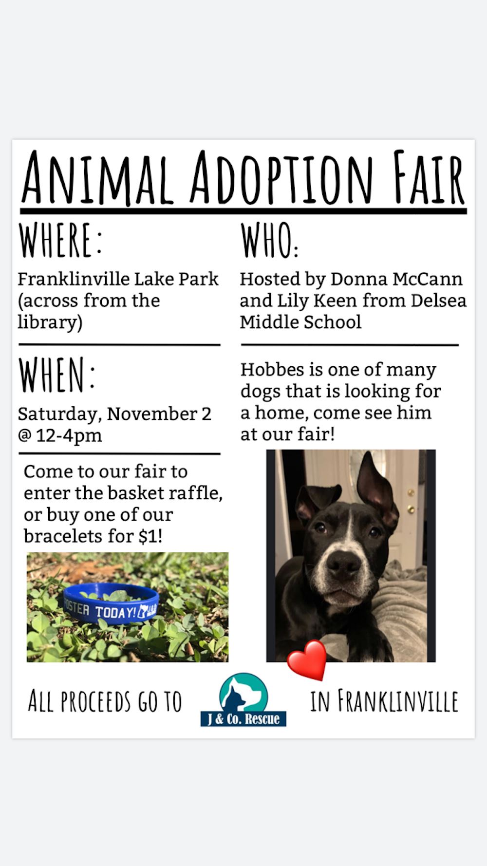 Animal Adoption Fair Flier 