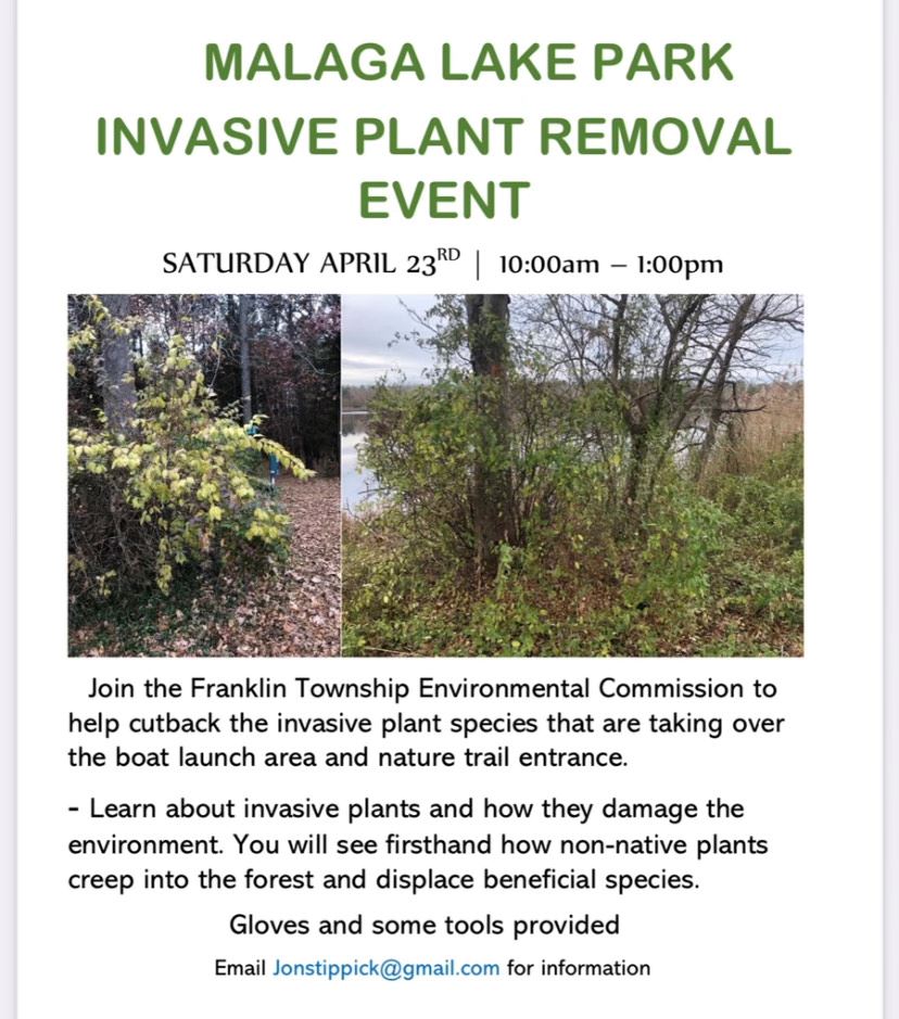 Malaga Park Invasive Plant Cleanup Flier 2022